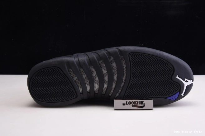 Rep LUCY Retro 12 CT8013 'Dark Jordan 005 Air Concord' 0722